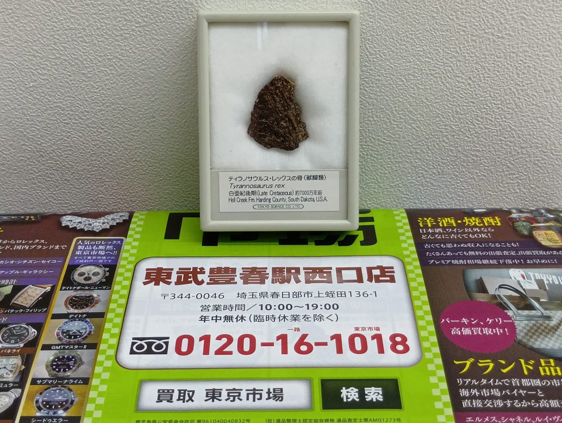 春日部市内！買取専門 東京市場 東武豊春駅西口店 京サイエンス ティラノサウルス レックスの骨(獣脚類) 白亜紀後期 約7000万年前 アメリカ サウスダコタ州  買取しました。