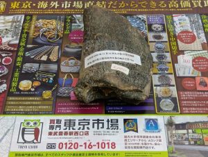 春日部市内！買取専門 東京市場 東武豊春駅西口店 ナウマンゾウの骨の化石 香川県三豊市庄内半島三崎沖水深70m 2010年11月13日入手 買取しました。